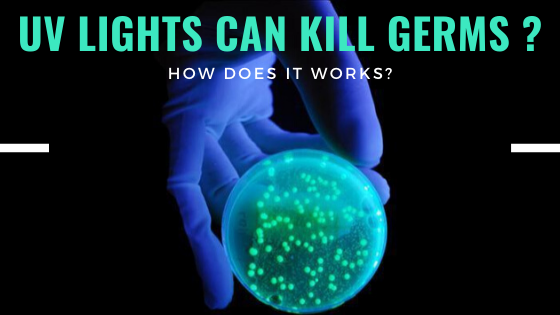 Is UV Lights Able to Kill Viruses and Bacteria?