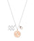 SWAROVSKI Zodiac Pendant Aquarius Gray Rhodium Plating #5349213